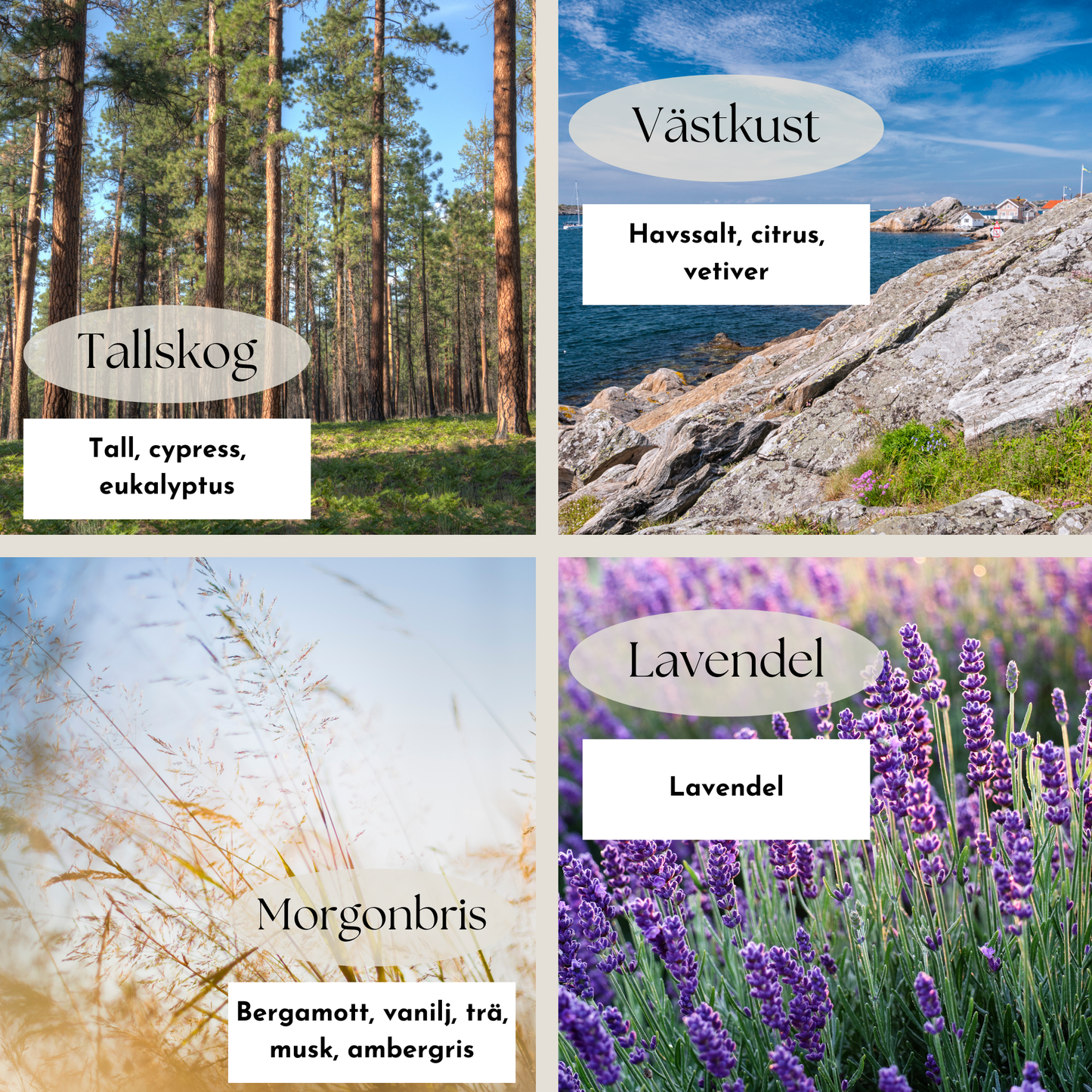 Sandljus Doft-tester