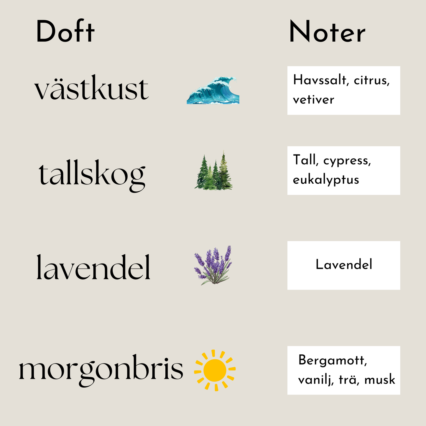Sandljus - Dofter
